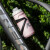 Rapha自行车水壶公路车山地车专用骑行健身运动户外水杯单车装备挤压式水瓶 暗黑银620ML