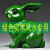 朴珀妮绿色木质雕刻兔子摆件三合十二生肖木兔家居电视柜装饰品开业配礼 绿色木质【可爱兔】 整木精雕可爱兔【高8cm单只】