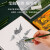 日本Tombow蜻蜓木头铅笔8900经典绿色小学生专业素描绘图画画六角木头2比2B/HB/2H 【店长推荐】2H-12支/盒装