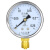 SYCIF Y-60 径向压力表水压气压油压指针式真空镀锌黄铜压力表 Y60 0~0.25MPa(2.5公斤)