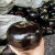 寿禾长茄子种子大全秧苗黑豹长茄线茄白蛋好品种家庭种植春季蔬菜 紫黑圆茄子种子 100粒