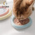 元气萌物（mwpet）韩国宠物碗陶瓷猫碗猫咪专用猫粮碗零食冻干罐头陶瓷碗餐盘食盆 熊脸（粉底蓝边） 小号【直径15cm】