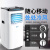 登比（DENBIG）移动空调单冷1P家用厨房免安装一体机A019-07KR/B