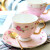 瓷侠客咖啡杯套装欧式小奢华骨瓷欧式下午茶茶具陶瓷英式花茶杯家用精致 茶花 杯碟勺
