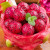 小博生鲜国产红心火龙果 生鲜水果 产地直发 5斤大果单果400g