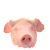 老炕【整只完整猪脸】烟熏腊猪脸湖南湘西特产正宗腊猪拱嘴猪头肉 整只腊猪脸（约900-1100g）