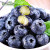 怡颗莓【超值力荐】当季云南蓝莓 国产蓝莓 新鲜水果 Jumbo超大125g*4盒