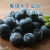 云南高原蓝莓（当季限量）18MM+新鲜水果 (顺丰生鲜包邮) 4盒装 500g大果粒/单盒125克