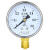 SYCIF Y-60 径向压力表水压气压油压指针式真空镀锌黄铜压力表 Y60 0~0.6MPa(6公斤)