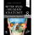 预订Netter Atlas of Human Anatomy: Classic Regional Approach