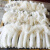 食怀农家古田竹荪干货特级煲汤竹笙菌菇蘑菇无硫特产非净重毛重 长裙竹荪 1 包 + aiqy