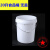 沃嘉定制适用油漆桶空桶调漆桶调漆罐大铁桶白皮桶工业20L铁桶塑料桶法兰桶 20升 食品桶(无盖)白色