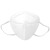 海龙博科口罩带钢印独立装 耳挂式口罩 透气 防飞沫口罩 白色N95口罩耳挂式 N95口罩10个装白