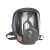 HENGTAI 6800型过滤式防尘面罩 工业粉尘专用防护面具