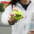 Wilson威尔胜全场地用球美网澳网专业训练网球 3粒装（球面数字随机）