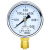 SYCIF Y-60 径向压力表水压气压油压指针式真空镀锌黄铜压力表 0~0.06MPa(0.6公斤)
