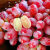 新疆玻璃脆无籽葡萄提子整箱5斤新鲜玻璃红提吐鲁番当季特产水果 净重2斤