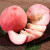 寻天果蔬 应季新鲜北京平谷桃子 鲜甜多汁大毛桃应季生鲜水果 12粒礼盒装（单果5-6两）