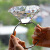 水晶超大钻戒玩具仿假钻石戒指道具模型求婚情人节表白礼物 80mm粉色钻+环+黑色礼盒