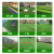 仿真草坪地毯幼儿园人造假草皮装饰阳台户外绿色围挡人工塑料绿植定做 3厘米加厚春草-5平米