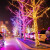 夏葵满天星led彩灯串闪灯窗帘户外防水新年元旦节日装饰缠树挂氛围灯 暖白 20米200灯