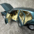 NOREVNOREV 1:18 奔驰450sel 1976 6.9 S级 w116 合金汽车模型收藏摆件 1:18 绿色