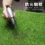 巨成云 仿真人造草坪地毯 塑料假草皮 绿植绿色地毯 单色草 25针草高1.5cm 宽2米*长25米【背胶】