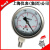 上海仪表（集团）公司YN-100不锈钢压力表Y-100BFZ双刻度Y-150BF 表盘150MM 60MPA以内