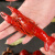 蟹小茉 十三香小龙虾 1.8kg4-6钱/35-50只 净虾重1kg 火锅食材 海鲜水产