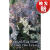 【4周达】Under the Lilacs by Louisa May Alcott, Fiction, Family, Classics