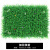 恒美 仿真塑料草坪40*60cm 绿植假草人工草 植物墙花园装饰 加花秧苗