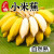 联承（LC）广西小香蕉4斤装当季水果大芭蕉皇帝蕉新鲜水果