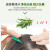 所望（SOMANG）洗护套装植物活力系列洗发水护发素套装 【洗护套装】洗发护发700ml