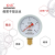 红旗牌仪表YY-60乙炔压力表氩气压力表氮气压力表氢气压力表 -0.1~0.3MPa