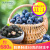 R.J.TR.J.T冻干蓝莓水果干进口零食蓝莓干蔓越莓干零食进口果干 60g/包效期到22年6月