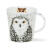 丹侬（DUNOON）英国骨瓷马克杯大容量咖啡杯陶瓷可爱杯子创意猫头鹰水杯礼盒装 呆萌猫头鹰-白(480ml)