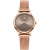 天王表(TIANWANG)手表 星辰系列钢带石英时尚女士手表钟表灰色LS3998P.P.A