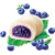 思念 中华面点 蓝莓水果包 240g （8只）