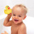 Munchkin满趣健 宝宝洗澡玩具感温变色小黄鸭经典儿童玩具