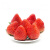 大凉山草莓 新鲜草莓 果奶油蛋糕 烘焙草莓 2.kg带箱