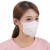 林盾 LINDUN 3006V防尘口罩工业男女防灰防护口罩时尚防雾霾口罩 白色