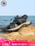 骆驼牌户外休闲凉鞋百搭透气男士皮凉鞋包头沙滩鞋 P13M309002 黑色 41