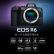 佳能（Canon） 佳能R6全画幅专业微单数码照相机视频直播高清相机 单机身（不含镜头）（含存储卡+相机包）