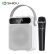 十度（ShiDu）S95广场舞蓝牙音响 家用小型手提便携大音量户外k歌音箱 珍珠白话筒版