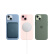 Apple iPhone 15 (A3092) 128GB 绿色 支持移动联通电信5G 双卡双待手机移动专享