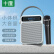 十度（ShiDu）S95广场舞蓝牙音响 家用小型手提便携大音量户外k歌音箱 珍珠白话筒版