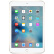 【二手9成新】Apple iPad mini 4 二手平板 金色 7.9英寸 128G WLAN版 过保