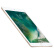 【二手9成新】Apple iPad mini 4 二手平板 金色 7.9英寸 128G WLAN版 过保