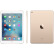 【套装版】Apple iPad Air 2 9.7英寸平板电脑 金色（16G WLAN版 MH0W2CH）及保护壳保护膜套装