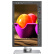 ZEOL 24英寸16:10 广色域旋转升降 原装LG面板 IPS专业级显示器（i7）